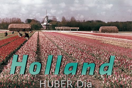 Preview 930_Holland.jpg